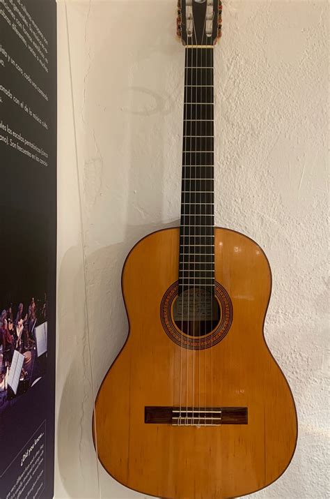 Guitarra Clásica A Checa Museo Lombarda