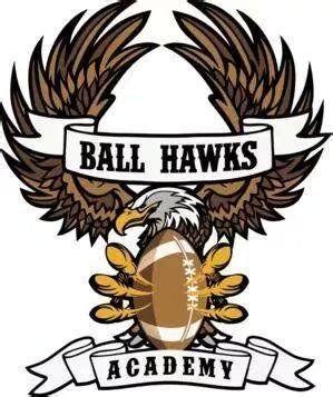 ball hawk logo logodix
