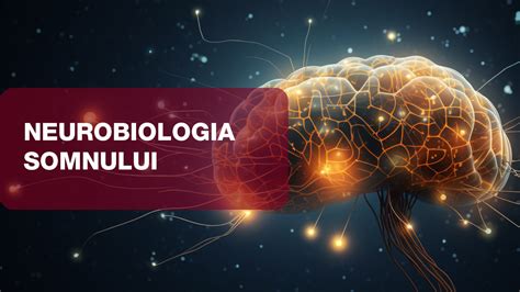 Neurobiologia Somnului Paul Olteanu