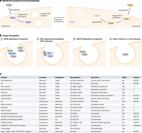 Nature Reviews Genetics On Twitter The Application Of Cryo Electron