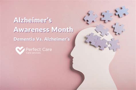 Dementia Vs Alzheimer S Perfect Care Ltd