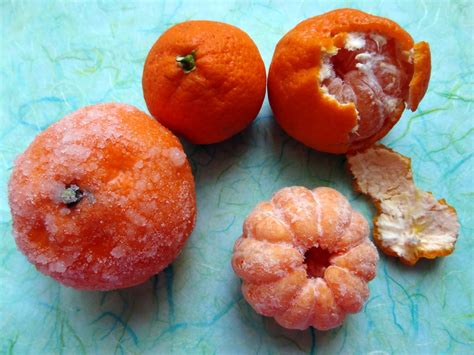 Miss Mochis Adventures Reito Mikan 冷凍みかん
