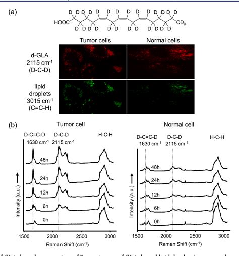 Raman Spectroscopy For Chemical Biology Research Semantic Scholar