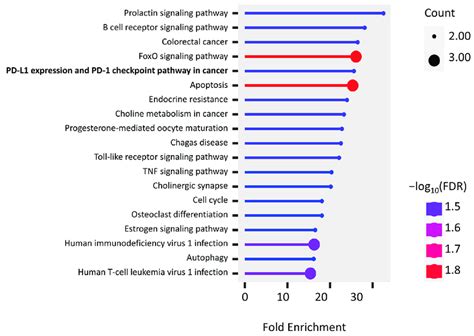 Kegg Pathway Enrichment Of The Union Of Ppi Hub Genes And Pd L