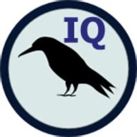 Raven IQ Test for Android - Download the APK from Uptodown