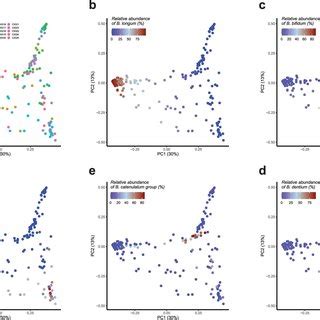 Beta Diversity In Cig Cohort A F Principal Coordinates Analysis Pcoa