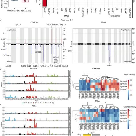 The Transcriptome Landscape Of The Ptmeta And Tcga Cohort Volcano