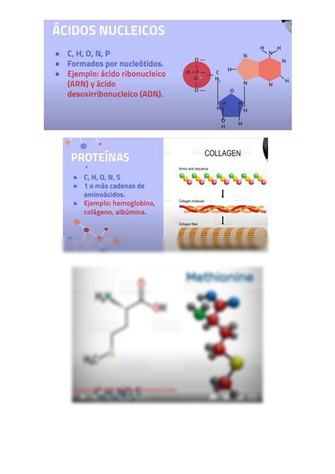 SOLUTION Video Resumen De Carbohidratos Lipidos Protenias Y Acidos