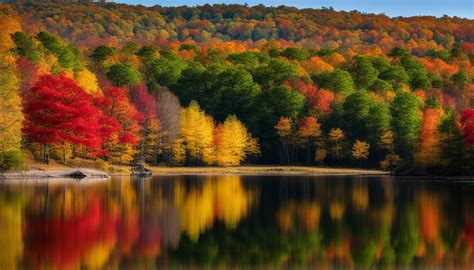 Caleb Smith State Park Preserve Discover The Scenic Beauty Of New York