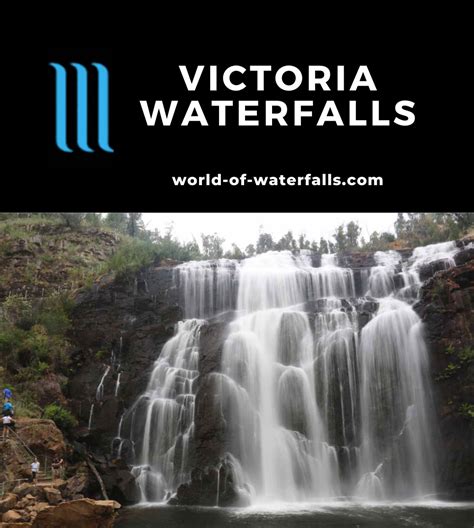 Victoria (Australia) Waterfalls and How To Visit Them - World of Waterfalls