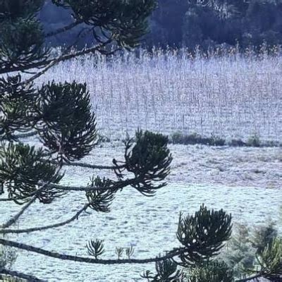 Agricultores temem perdas previsão de geada e frio histórico