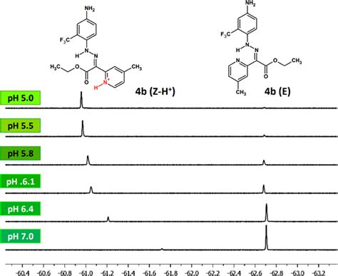 Tuning the pH of Activation of Fluorinated Hydrazone-Based Switches─A ...