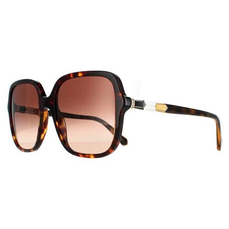 Sunglasses Square Havana Dark Brown Gradient Bv8228b Bvlgari