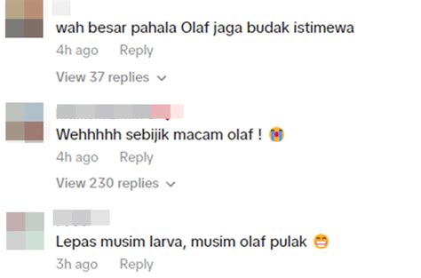 Besar Pahala Olaf Jaga Budak Istimewa Kongsi Momen Majlis Resepsi