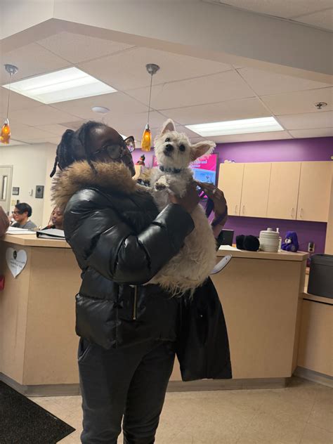 Saint Louis... - Saint Louis County Pet Adoption Center