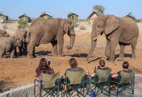 How To Visit Botswana On A Budget Everything You Need To Know Helen