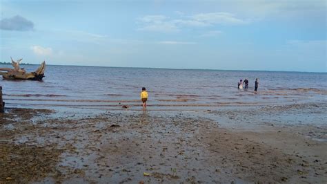 ikut ayah jala  laut basilam youtube