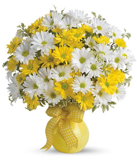 Upsy Daisy Premium Arreglos Florales Sencillos Bellos Arreglos