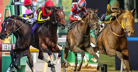 2024ドバイゴールデンシャヒーン Jra Van World 海外競馬情報サイト