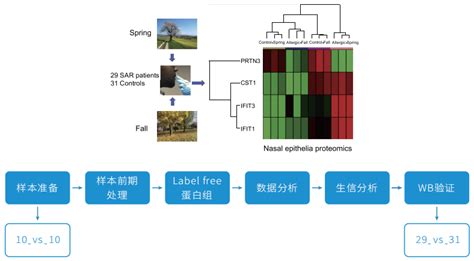 技术介绍 Label Free非标记定量蛋白质组学百趣动态百趣生物 代谢组学 蛋白质组学 转录组测序 多组学联合分析