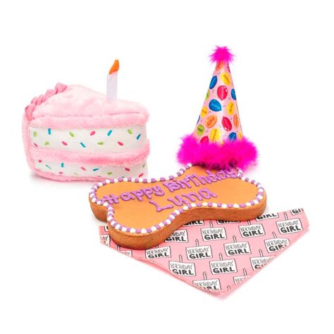 Treats Unleashed | Treats Unleashed Treats Unleashed Birthday Pawty Bundle