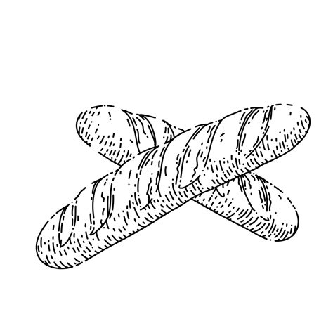 french bread sketch hand drawn vector 17421088 Vector Art at Vecteezy