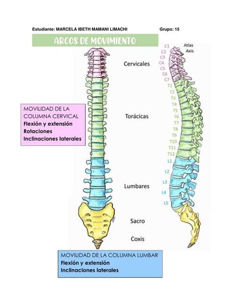 ÁNGULOS COLUMNA VERTEBRAL Marcela Ibeth uDocz