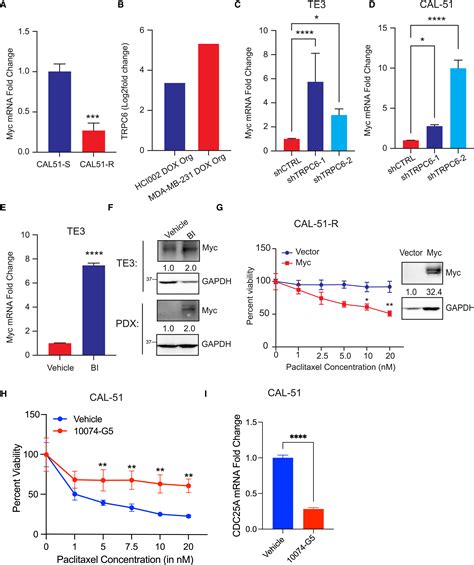 The Calcium Channel Trpc Promotes Chemotherapy Induced Persistence By