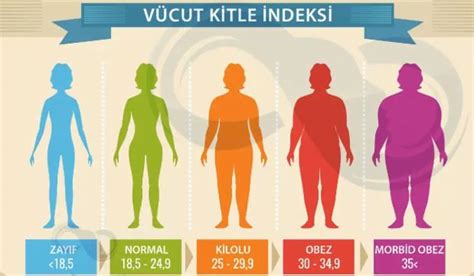 Vücut Kitle Endeksi Hesaplama Herbalife Ürünleri Fiyatı