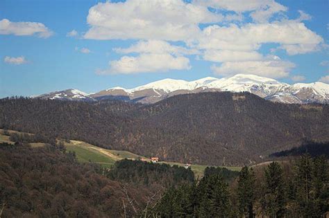 Top 10 Sensational Facts about Dilijan National Park - Discover Walks Blog