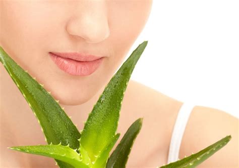 Le 18 proprietà dell aloe vera benefici e controindicazioni