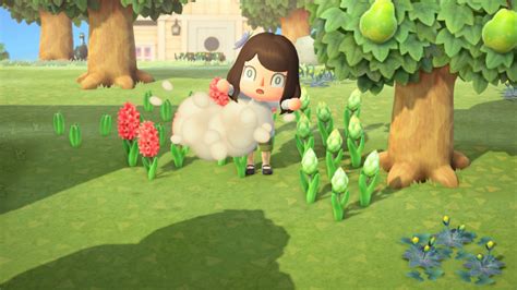 Animal Crossing New Horizons Neue Updates Anstehende Events Und