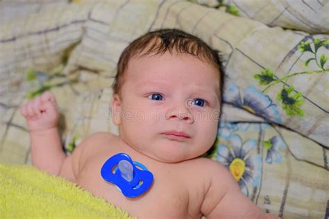 Newborn European Naked Baby With A Pacifier On His Chest Stock Image