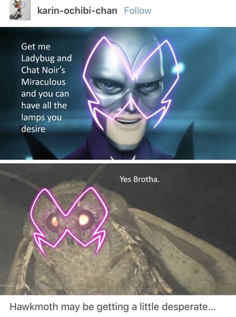 OMG YES I LOVE SEEING MOTH AND HAWK MOTH MEMES | Miraculous ladybug memes, Miraculous ladybug ...