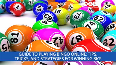 Become A Bingo Pro Comprehensive Guide To Winning Big Online