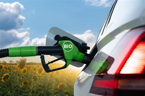 E Fuel E Bio Carburanti Cosa Sono E Quali Differenze