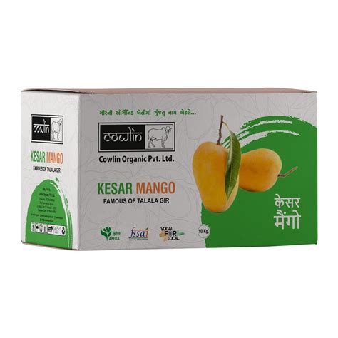 Green Fresh Kesar Mango Fruit Carton Packaging Size 10 Kg At Rs 1400