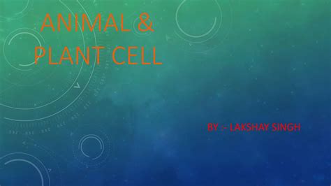 Animal And Plant Cell Ppt