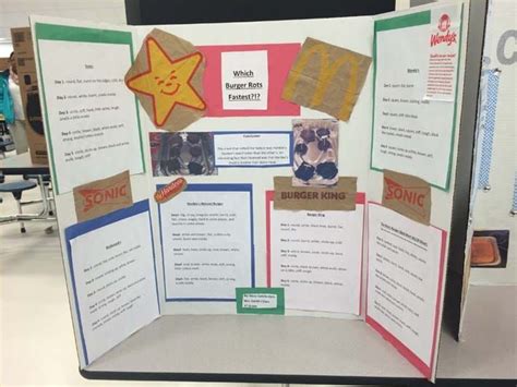 75 Fantastic Science Fair Project Ideas Momdot Science Fair