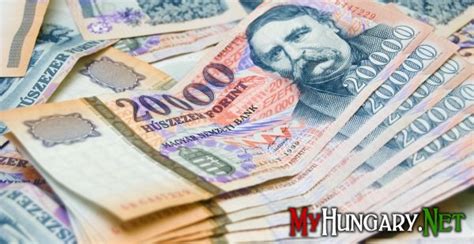 Хотят ли новые венгры вести бизнес в Венгрии? » МОЯ ВЕНГРИЯ