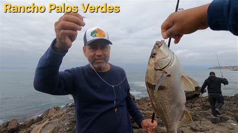 Buena Pesca Y Cocina De Mojarras Y Camarones Rancho Palos Verdes Ca