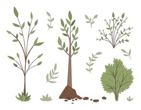 Shrubs Vector Art Icons And Graphics For Free Download