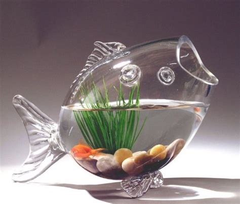 Fish Shaped Glass Fish Bowl Aquarium H X W Amazon In Pet Supplies