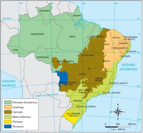 Hidrografia Da Mata Atlantica - Mata Atlântica: fauna, flora, clima, hidrografia [resumo]
