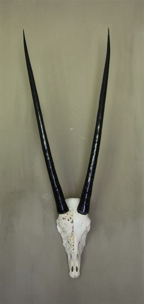 Oryx Carved with Polished Horns - Beautiful Horns