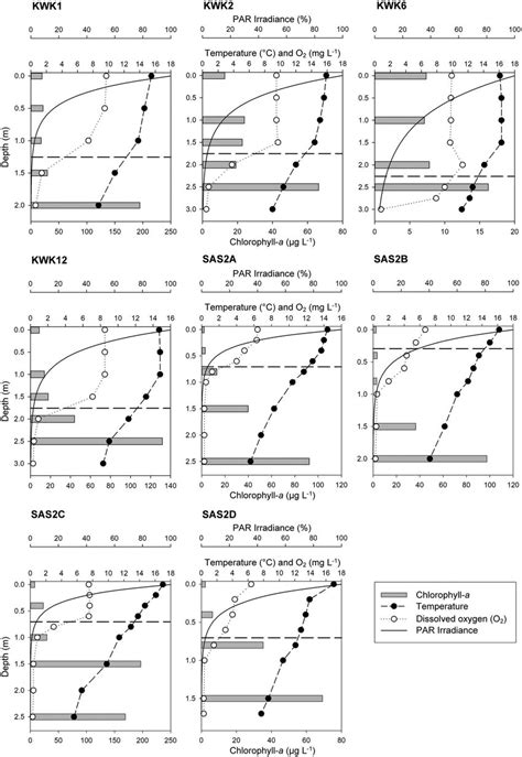 Vertical Profiles Of Temperature °c Dissolved Oxygen O 2 Mg L −1