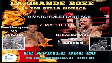 La Grande Boxe A Torbella Monaca YouTube