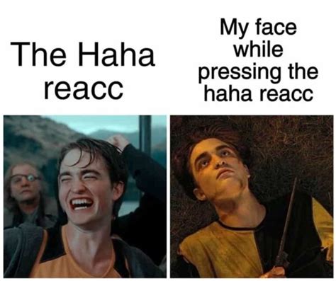 Harry Potter Memes That Are Better Than The Second And Worst