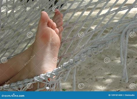 Close Up On Bare Feet In A Hammock On A Beach Stock Photo Image Of