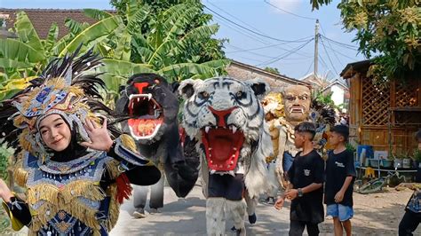 Terbaru Arak Arakan Barongan Can Macanan New Pandawa Drumband Live